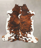 Tricolor Cowhide Rug #B5994