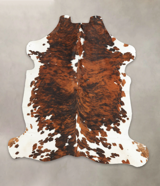 Tricolor Cowhide Rug #B5994
