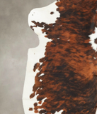 Tricolor Cowhide Rug #B5994