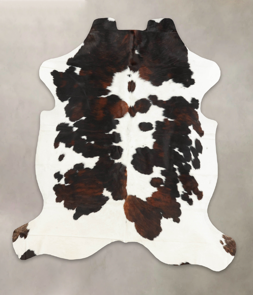 Tricolor Cowhide Rug #B6006