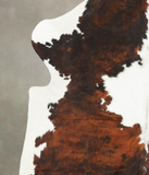 Tricolor Cowhide Rug #B6013