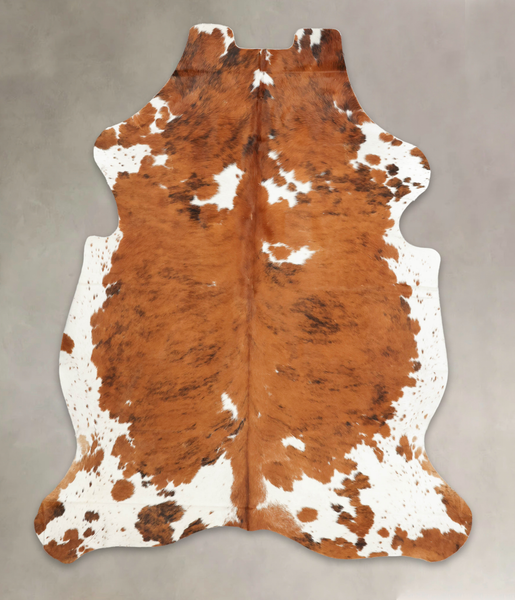 Tricolor Cowhide Rug #B6016