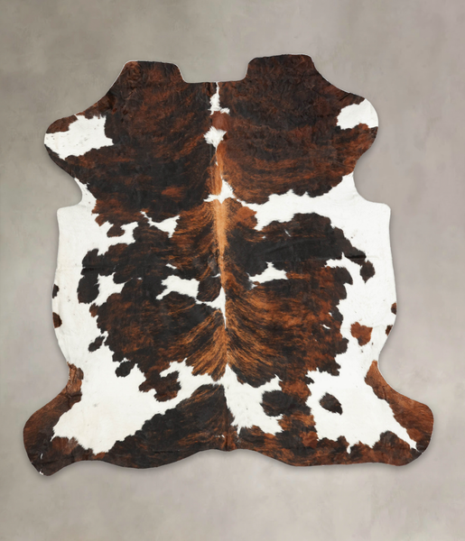 Tricolor Cowhide Rug #B6023