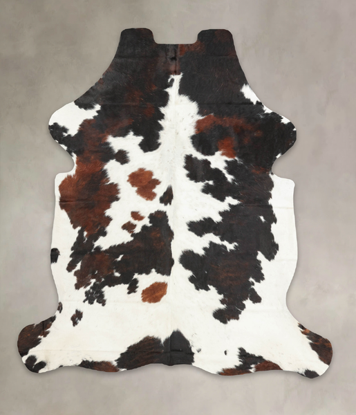 Tricolor Cowhide Rug #B6031