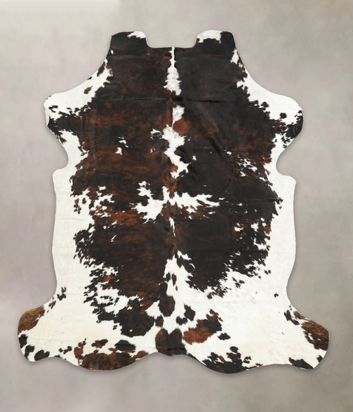 Tricolor Cowhide Rug #B6033