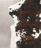 Tricolor Cowhide Rug #B6033