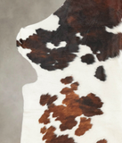 Tricolor Cowhide Rug #B6034