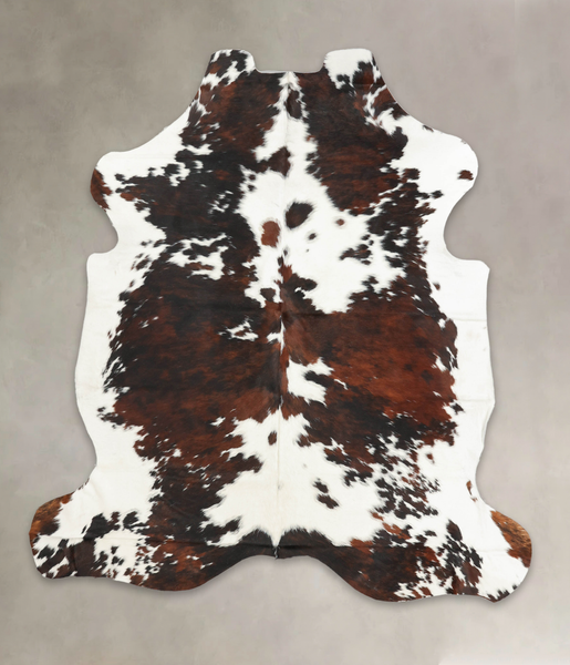 Tricolor Cowhide Rug #B6035