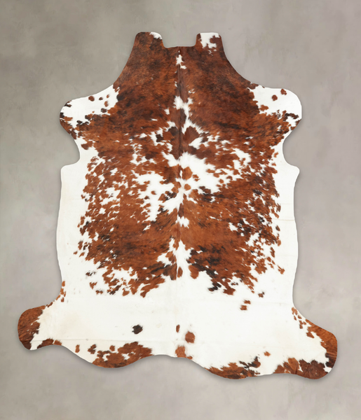Tricolor Cowhide Rug #B6036
