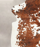 Tricolor Cowhide Rug #B6036