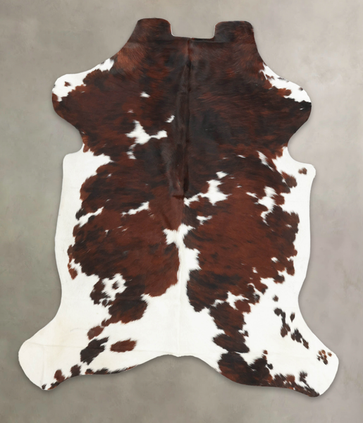 Tricolor Cowhide Rug #B6041