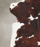 Tricolor Cowhide Rug #B6041