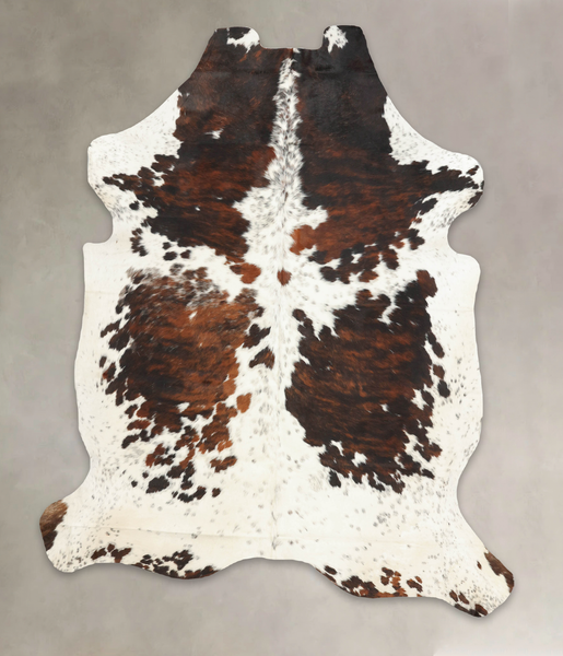 Tricolor Cowhide Rug #B6066