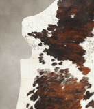 Tricolor Cowhide Rug #B6066