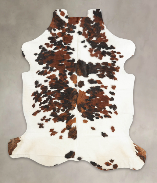 Tricolor Cowhide Rug #B6067