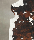 Tricolor Cowhide Rug #B6069