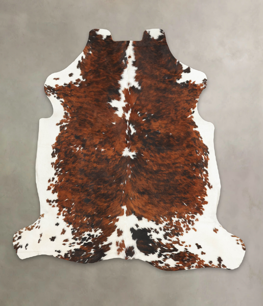 Tricolor Cowhide Rug #B6070