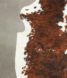 Tricolor Cowhide Rug #B6070