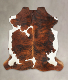 Tricolor Cowhide Rug #B6071