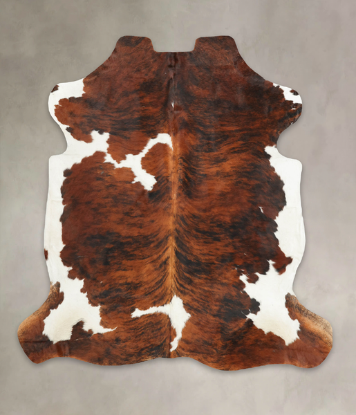 Tricolor Cowhide Rug #B6071
