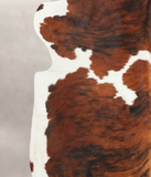 Tricolor Cowhide Rug #B6071