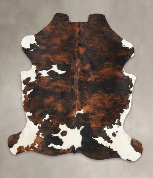 Tricolor Cowhide Rug #B6072