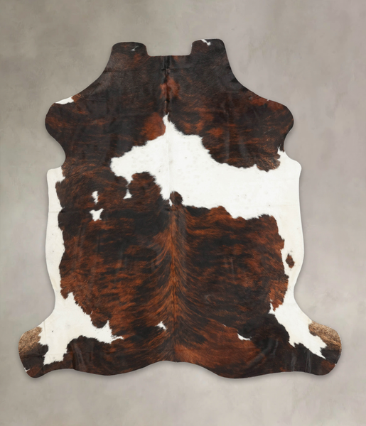Tricolor Cowhide Rug #B6083