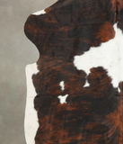 Tricolor Cowhide Rug #B6083