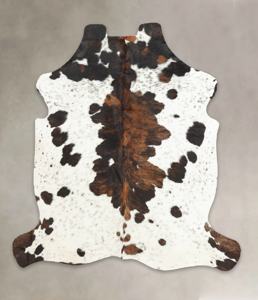 Tricolor Cowhide Rug #B6084