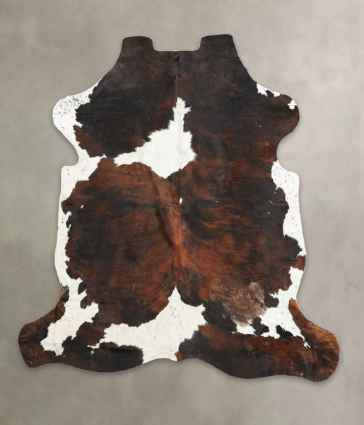Tricolor Cowhide Rug #B6087