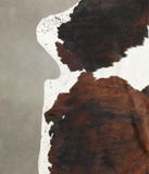 Tricolor Cowhide Rug #B6087