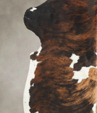 Tricolor Cowhide Rug #B6090