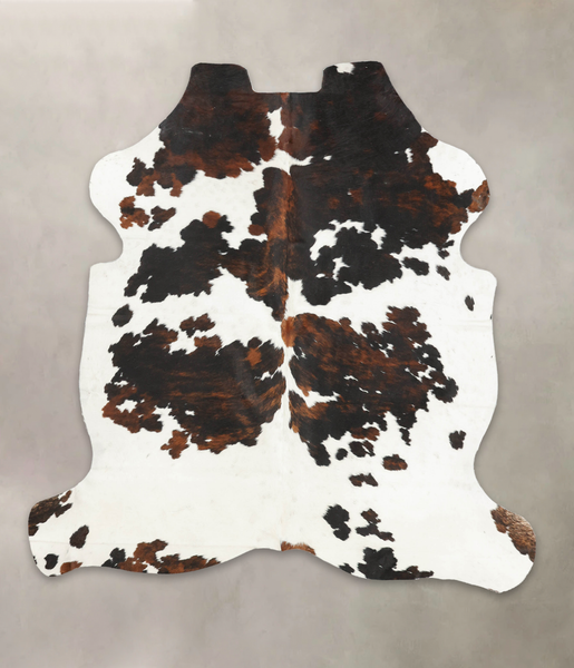 Tricolor Cowhide Rug #B6092