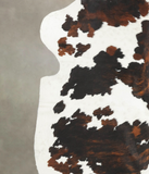 Tricolor Cowhide Rug #B6092
