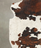 Tricolor Cowhide Rug #B6093