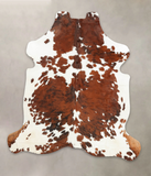 Tricolor Cowhide Rug #B6101