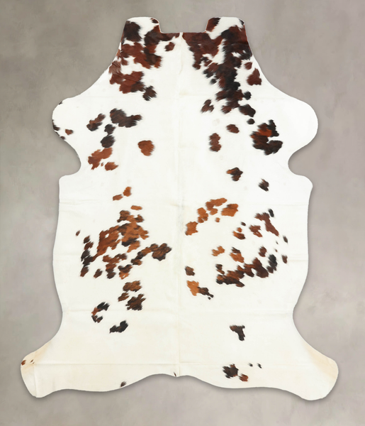 Tricolor Cowhide Rug #B6106