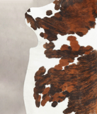 Tricolor Cowhide Rug #B6118