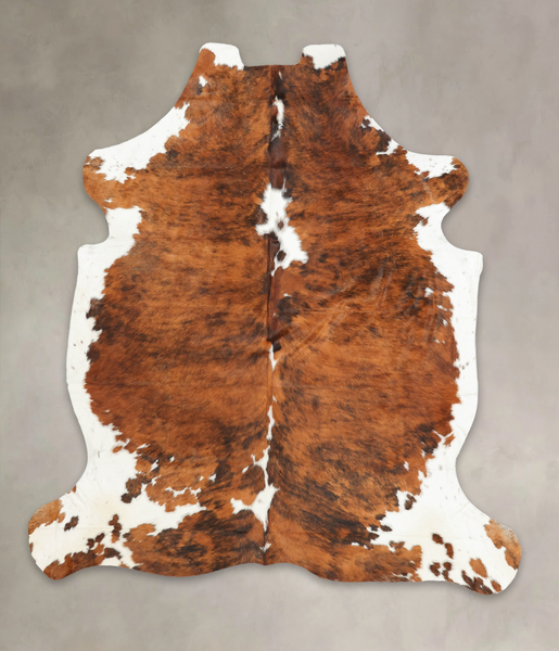 Tricolor Cowhide Rug #B6124