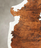 Tricolor Cowhide Rug #B6124