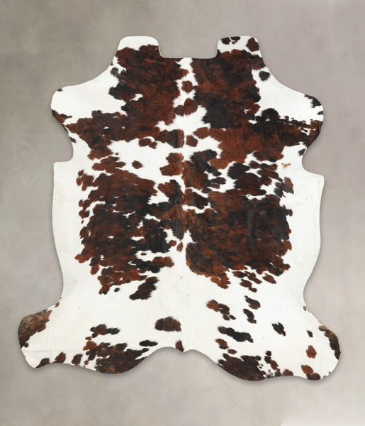 Tricolor Cowhide Rug #B6126