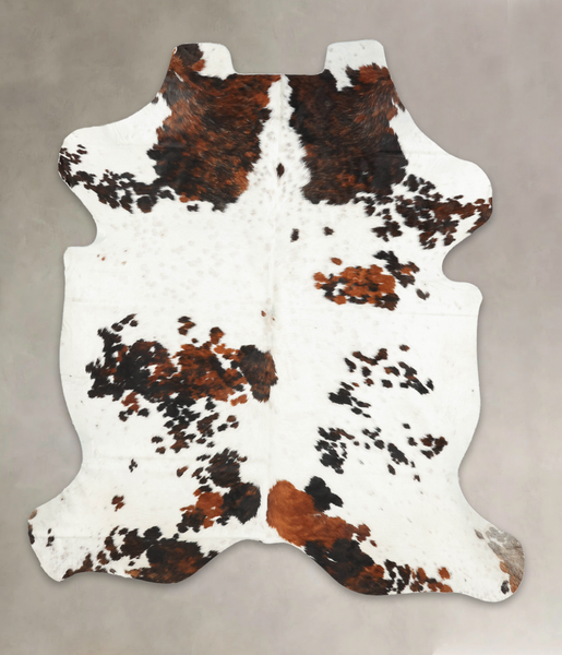 Tricolor Cowhide Rug #B6127