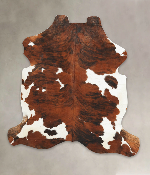 Tricolor Cowhide Rug #B6130