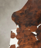 Tricolor Cowhide Rug #B6131