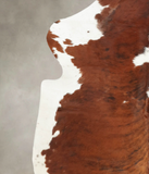 Tricolor Cowhide Rug #B6132