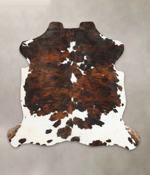 Tricolor Cowhide Rug #B6133