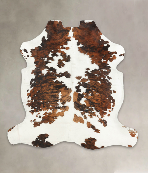Tricolor Cowhide Rug #B6134