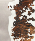 Tricolor Cowhide Rug #B6134