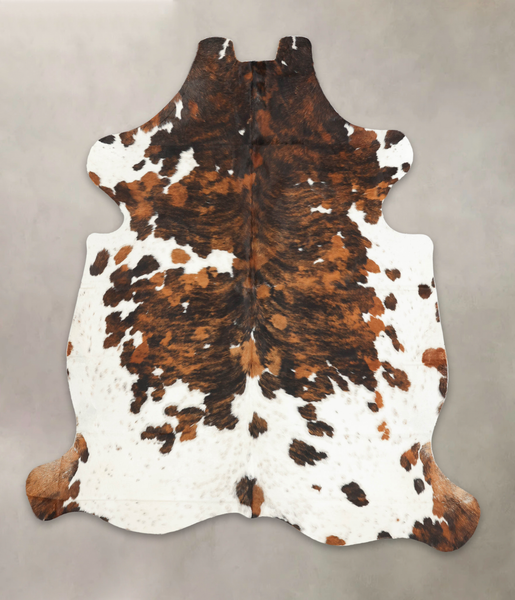 Tricolor Cowhide Rug #B6137