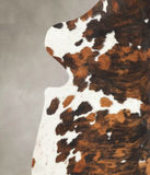 Tricolor Cowhide Rug #B6137